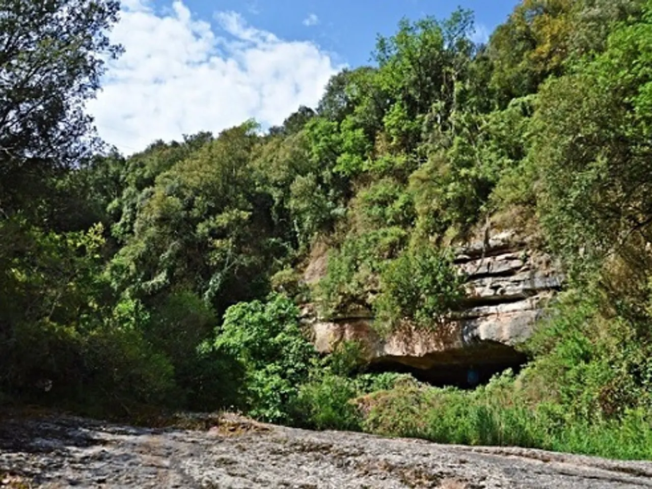 Fotografia de FONT DE LA GUILLOTERA, BALMA DE LA