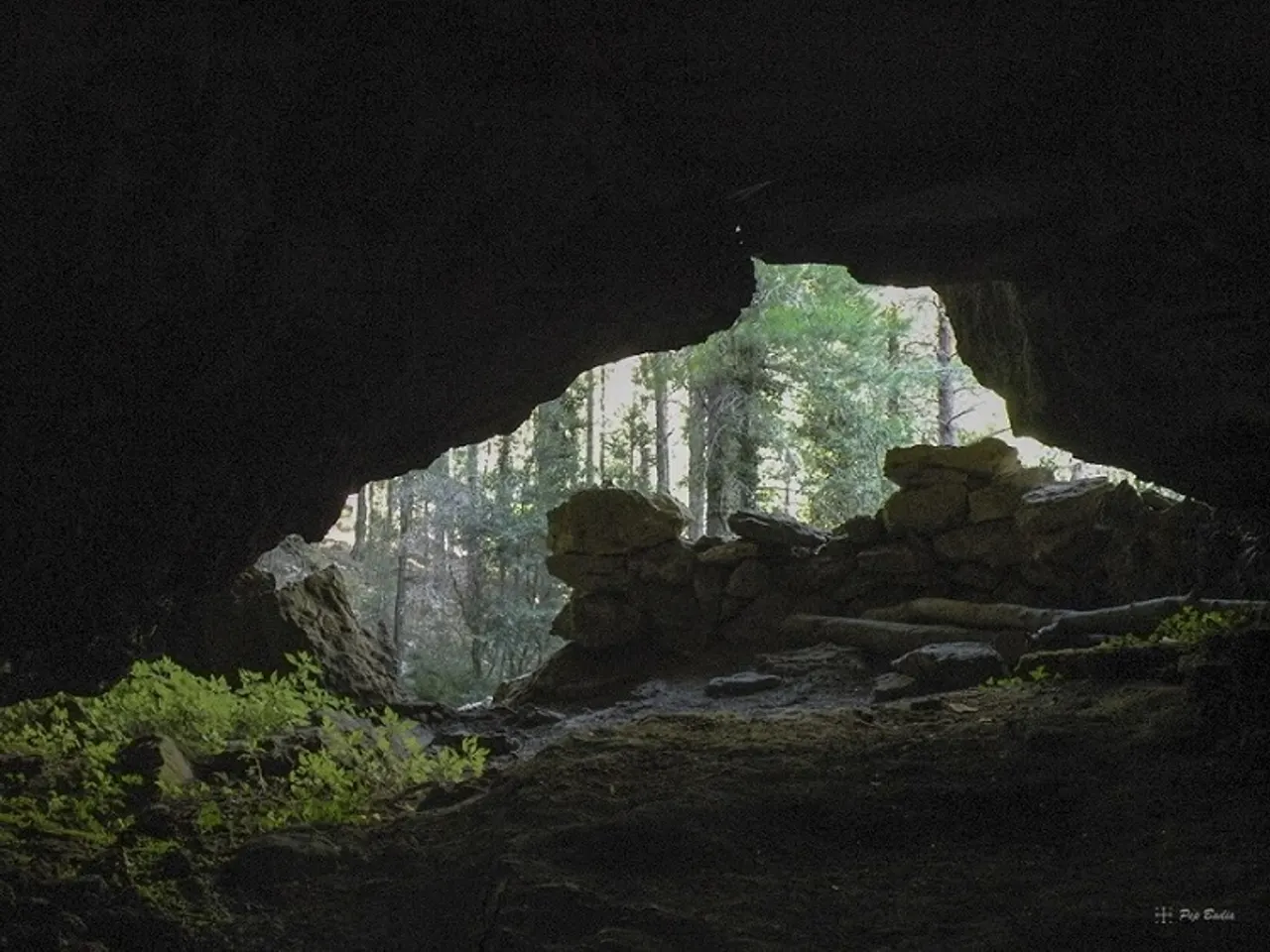 Photographie de ROJA, COVA DE LA