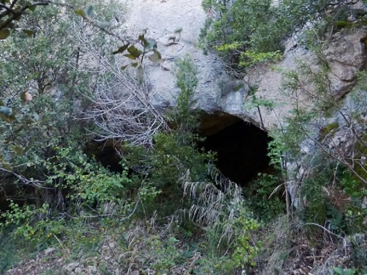 Fotografia de AIGUA DEL PAS NOU, COVA DE L'