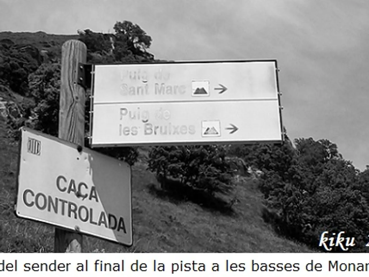 Fotografía de PUIG DE LES BRUIXES, FORAT DEL