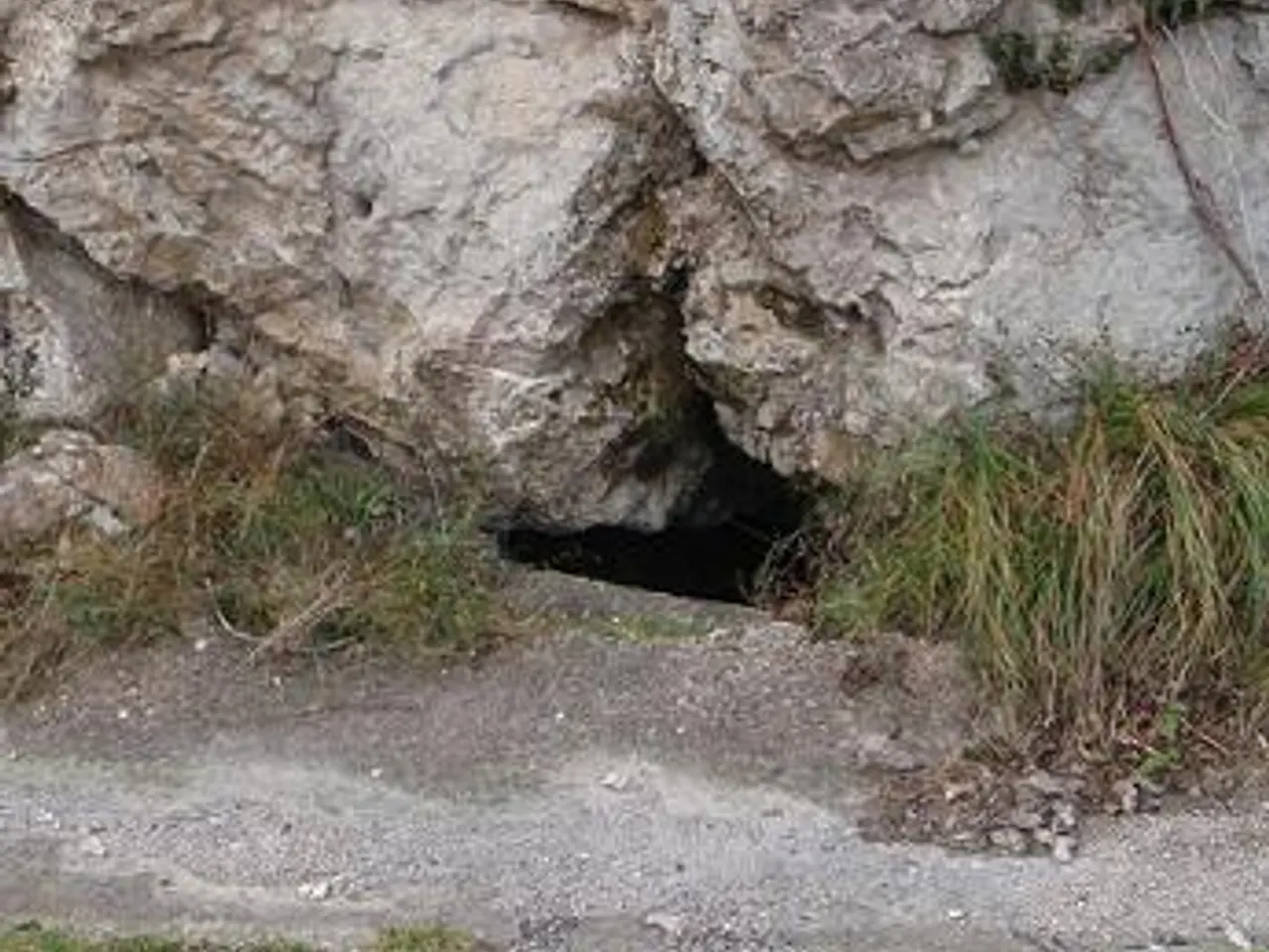 Fotografia de RIU MERLER, QUERANT DE