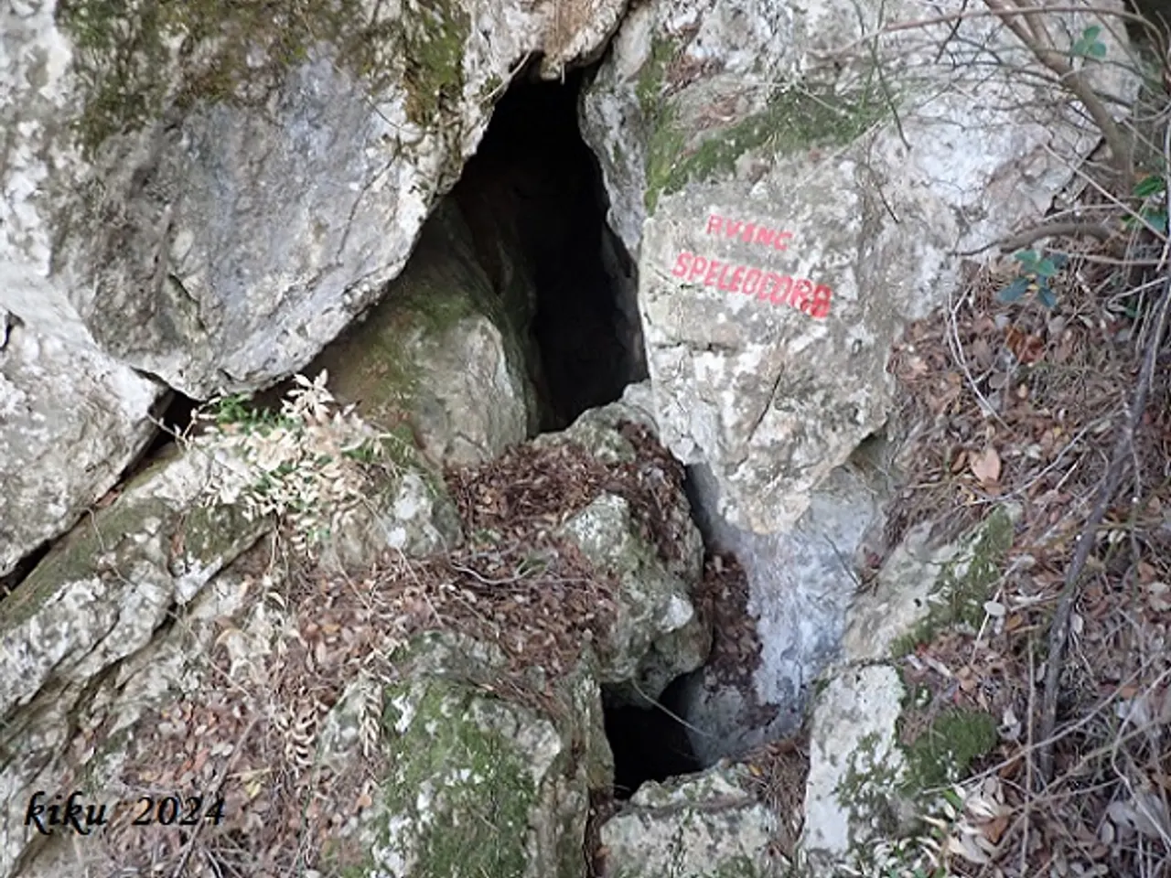 Photograph of SPELEOCORB, AVENC
