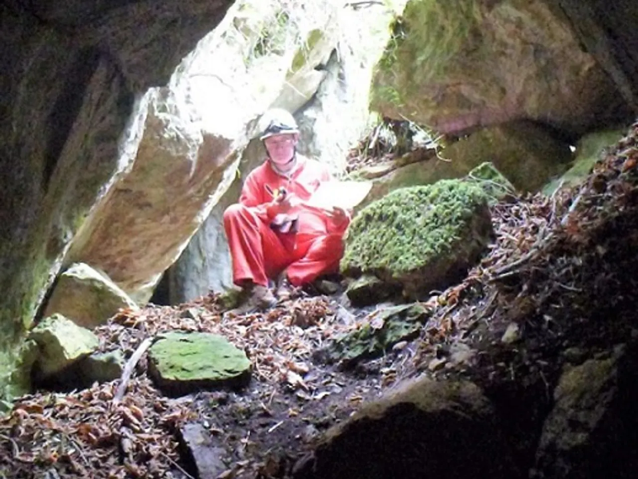 Fotografia de CINGLE DEL BODRO, COVA DEL