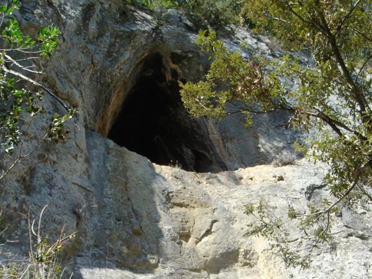 Fotografia de CENT-VINT (120), COVA