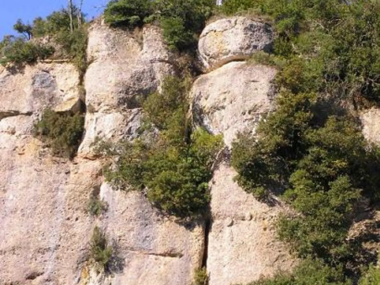 Fotografia de TALPS, COVA DELS