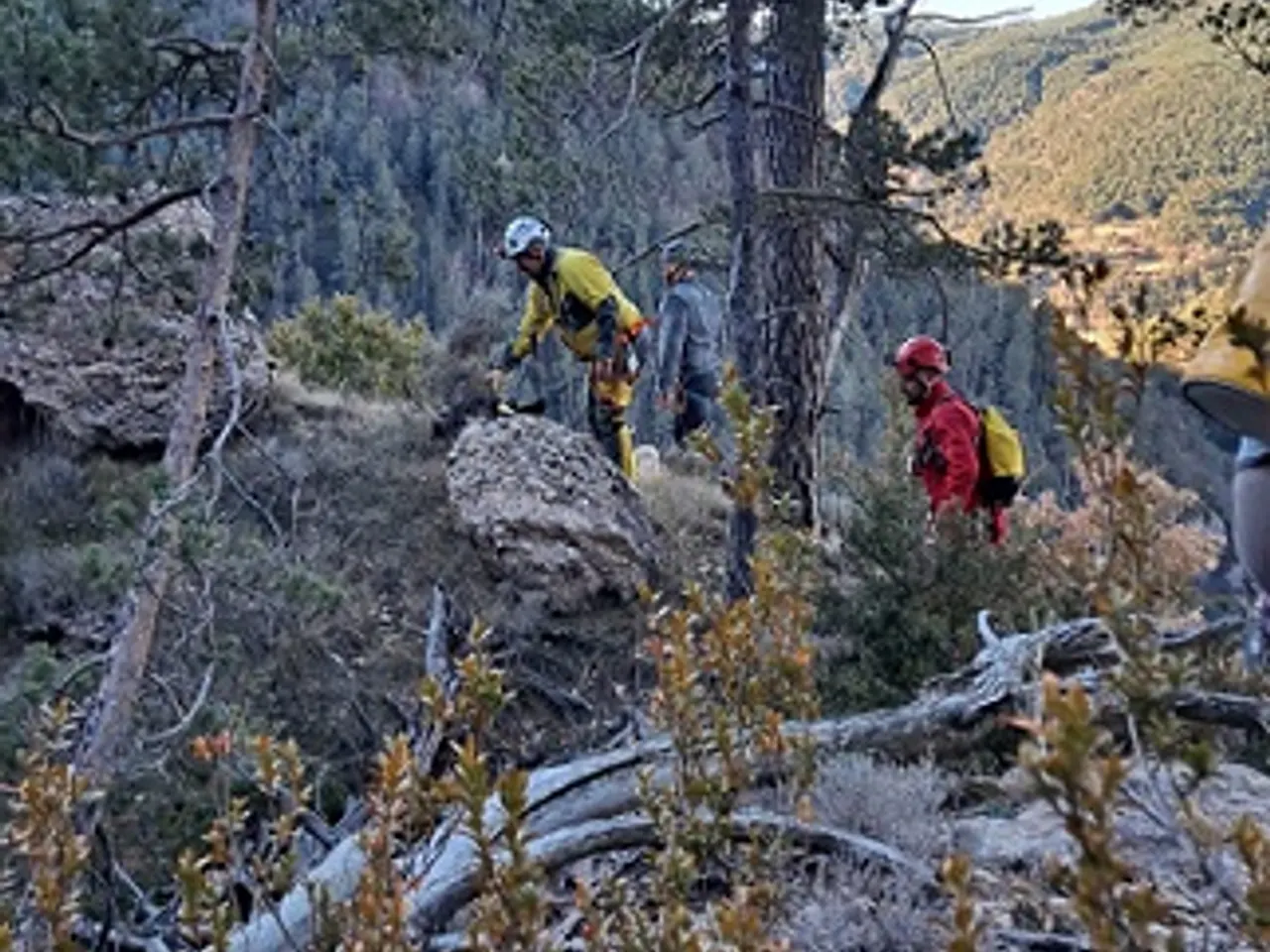 Fotografia de SANT TELM, FORATS DE