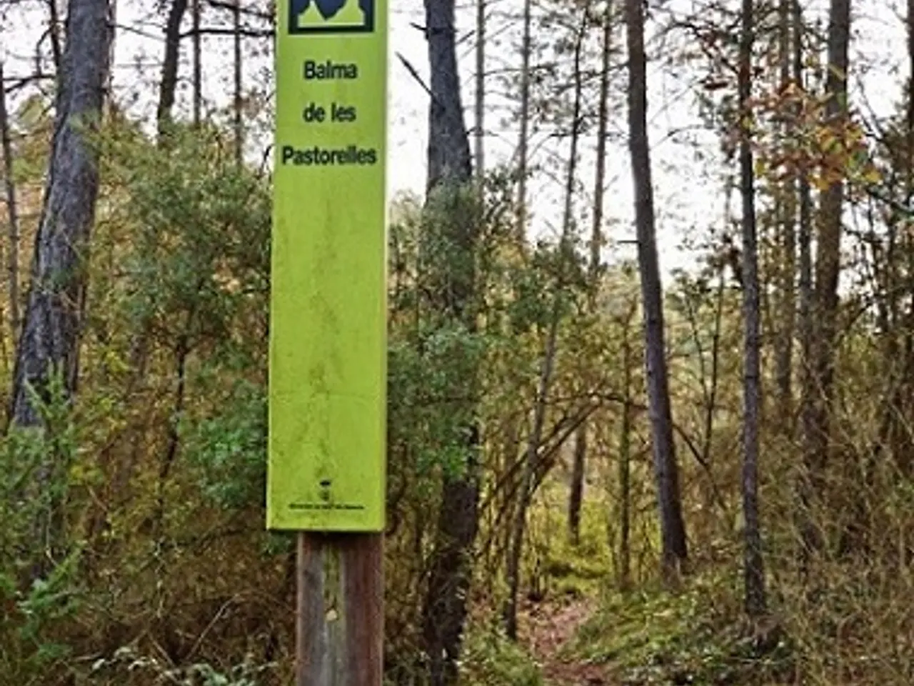 Photographie de PASTORELLES, BALMA DE LES