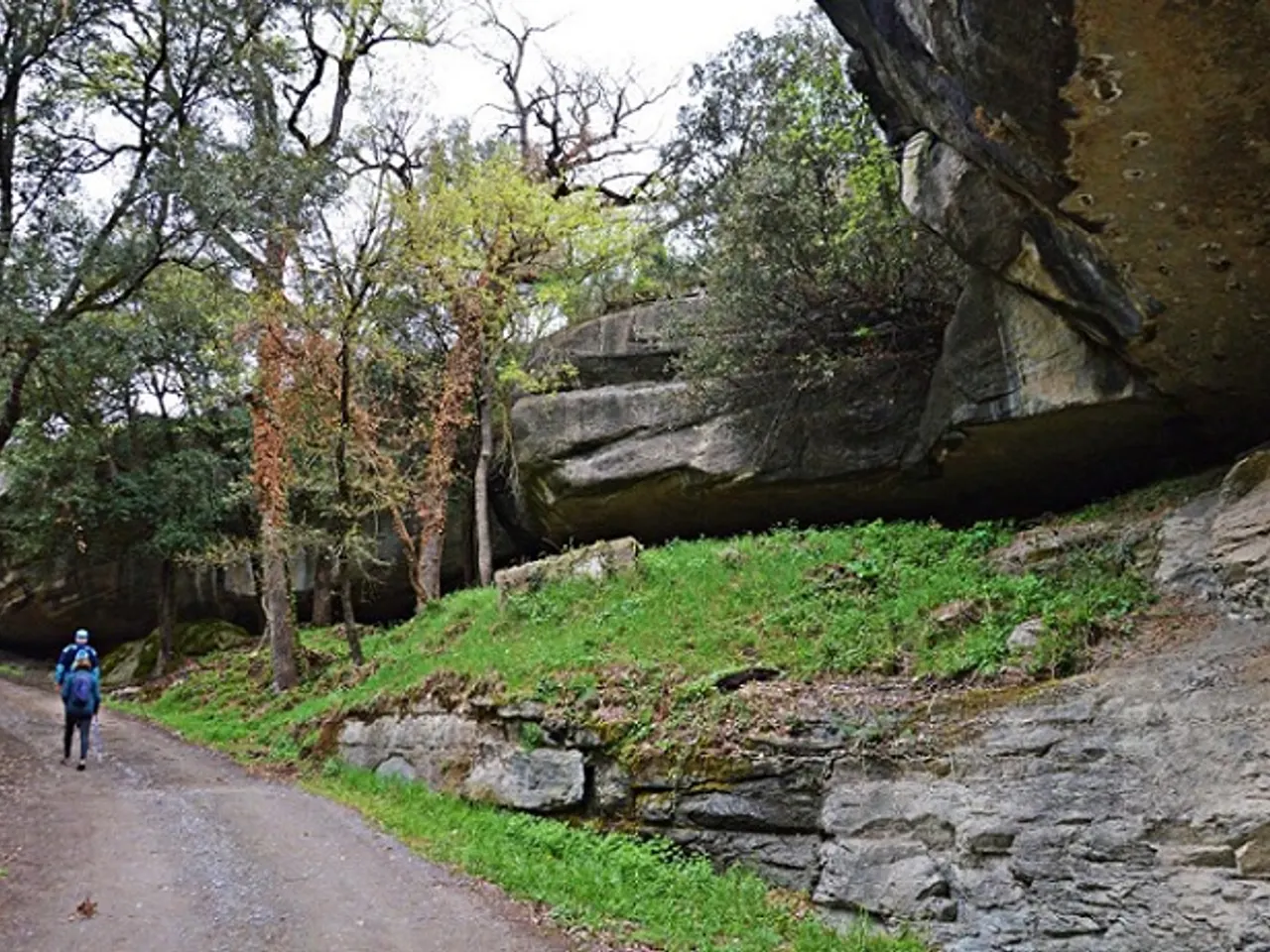 Fotografia de CAMÍ DE SANTA MAGDALENA, BALMA DEL