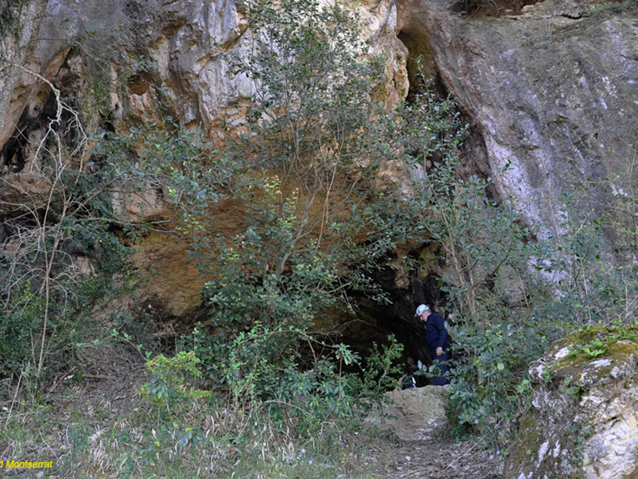 Photograph of DRAC DE VILARJOAN, COVA DEL