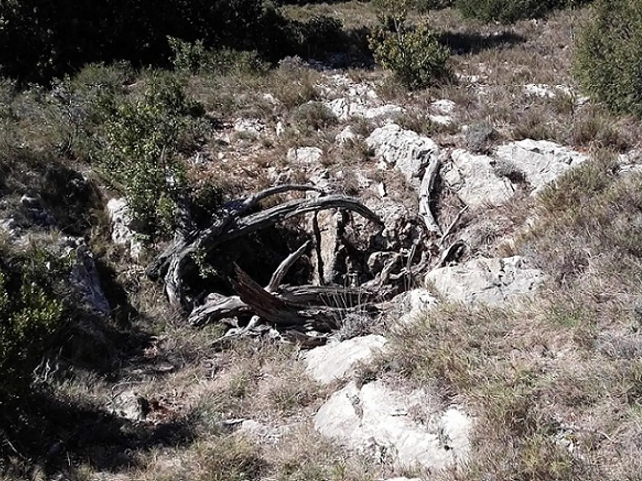 Fotografia de PLANS, AVENC DELS