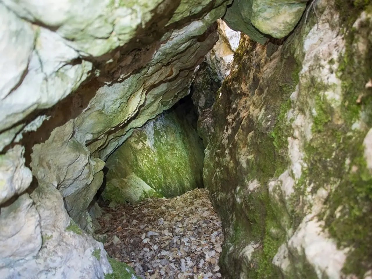 Fotografia de PUIG CUBELL DE VILADA, AVENC DEL