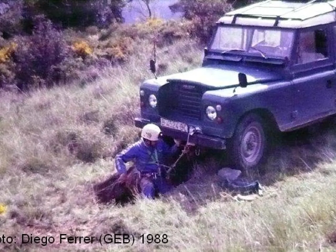 Fotografia de VACA, FORAT DE LA