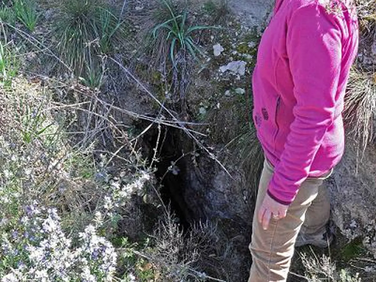 Fotografía de MOSSÈN BENET, CAU DE