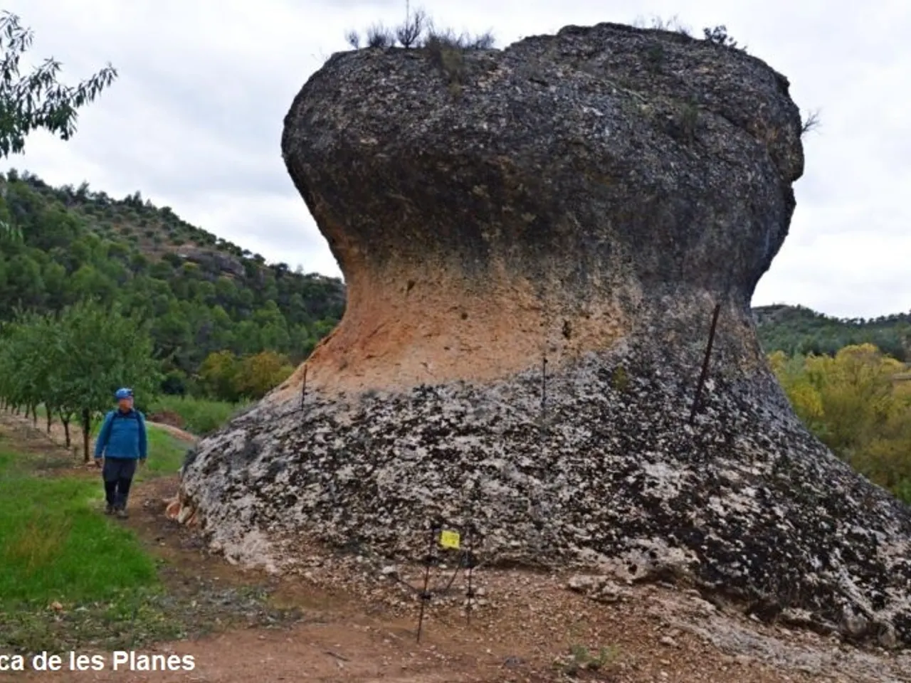 Photographie de BOIXA, COVA D'EN
