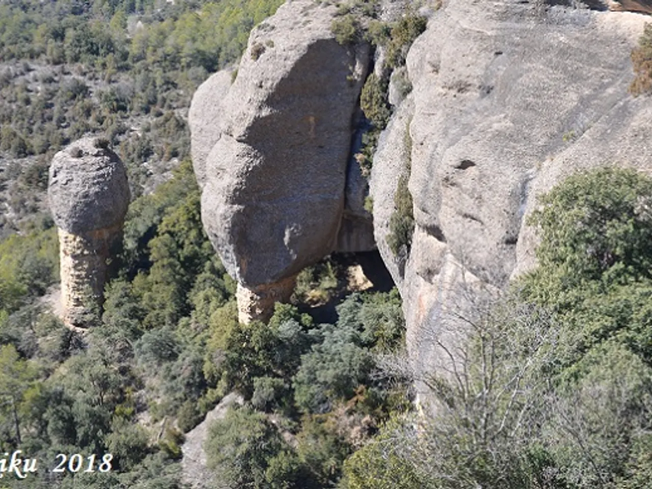 Photographie de CIGALOT DEL CORB, BALMA DEL