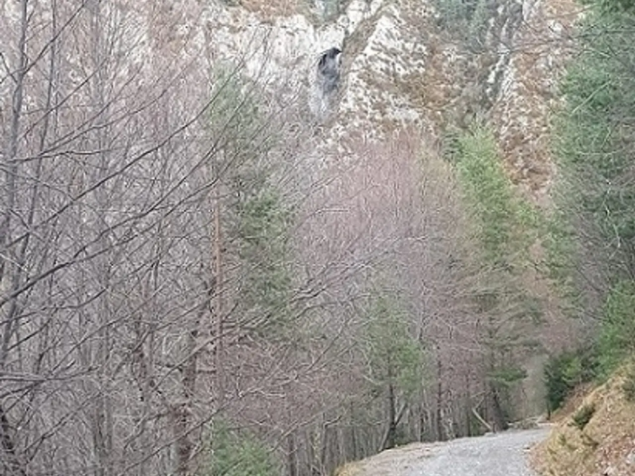 Photographie de ROSET, COVA DE