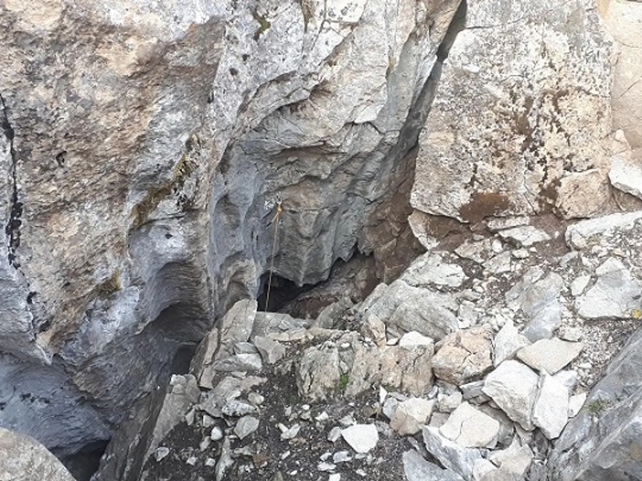 Photograph of BACIVÈR,  CIGALÈRA DETH