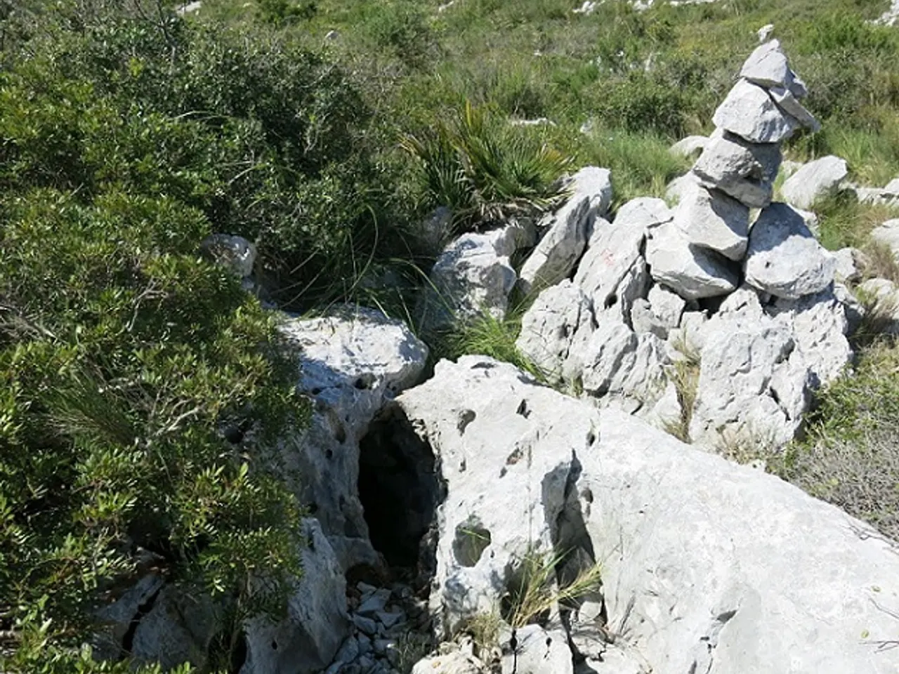 Fotografía de BRANQUES, AVENC DE LES