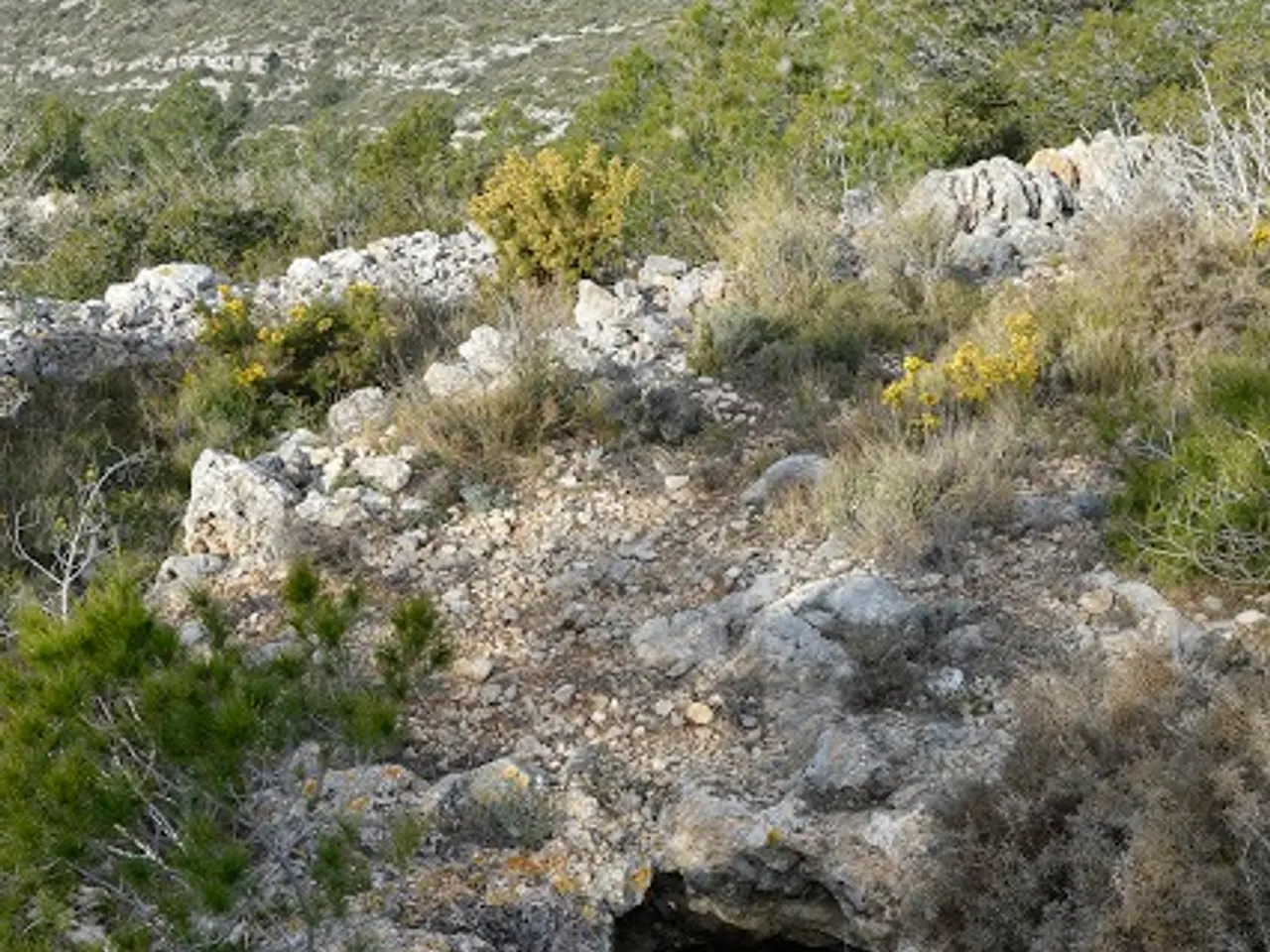 Photographie de LLIGALLO DE ROCA ROJA, COVA DEL