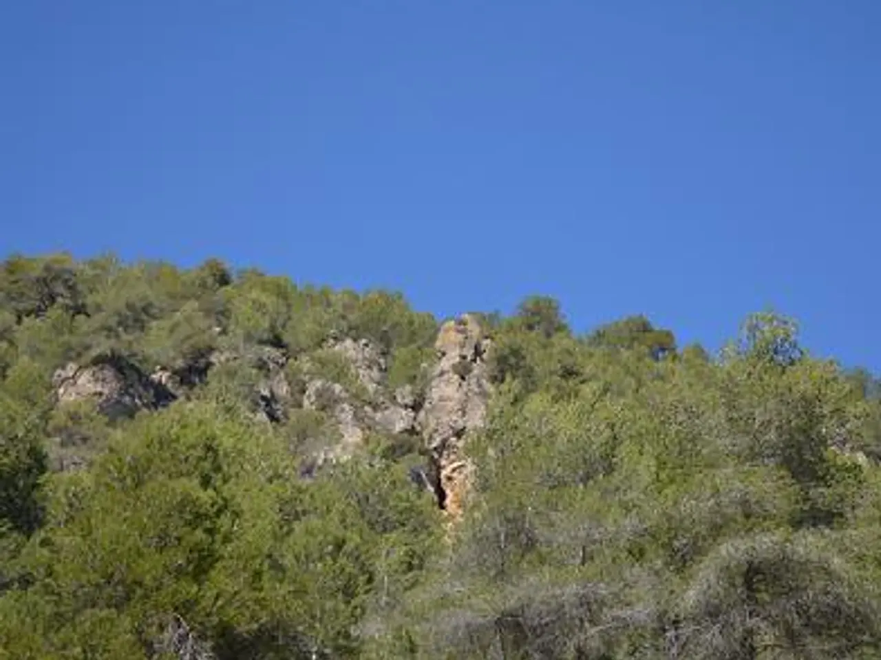 Fotografia de AVI, COVA DE L'