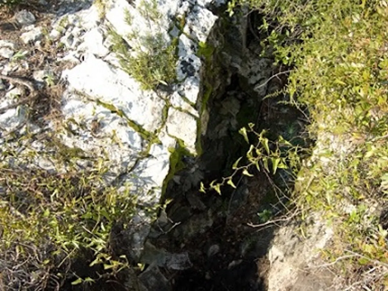 Fotografia de CREMAT, AVENC