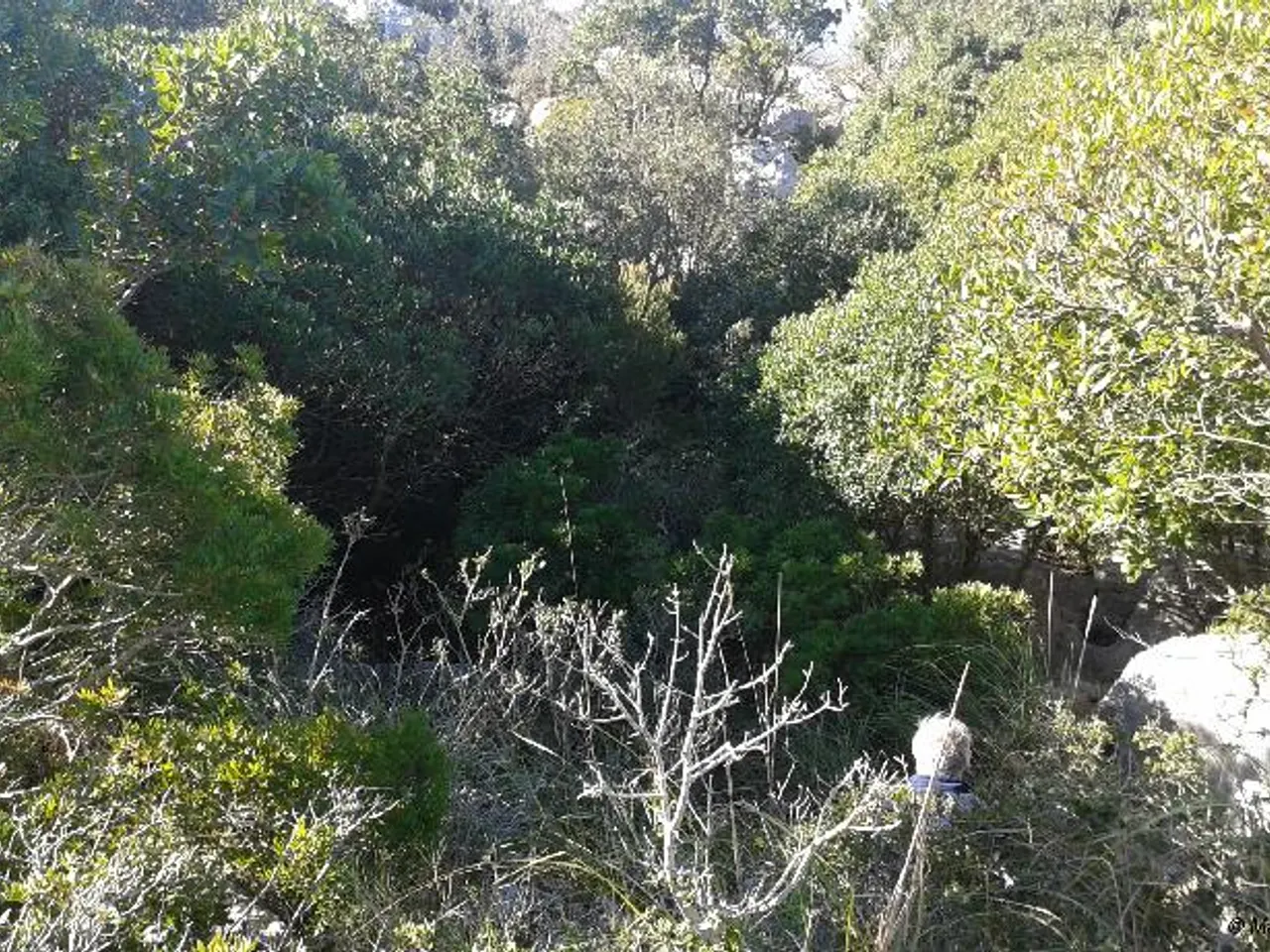 Photograph of BARDISSES, AVENC DE LES
