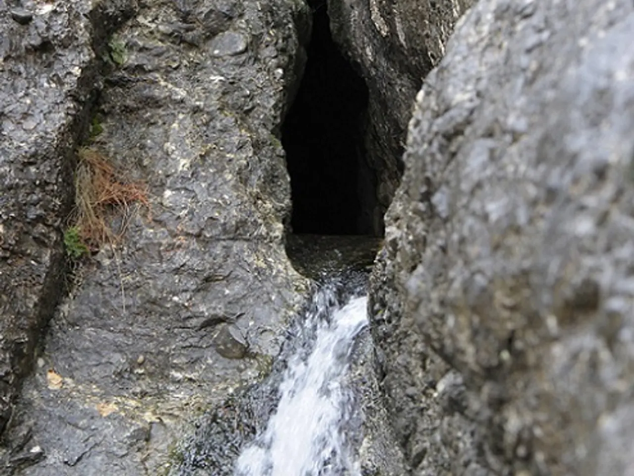 Photographie de DONZELLA, FORAT DE LA
