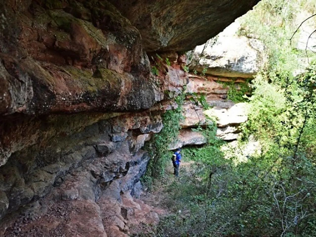 Fotografia de BLANQUERA, BALMA DE LA