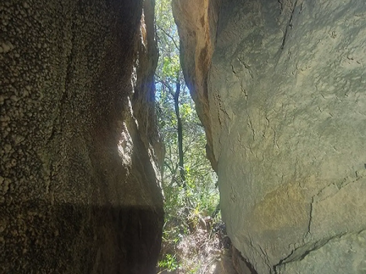 Photograph of RODÓN, COVA DE 