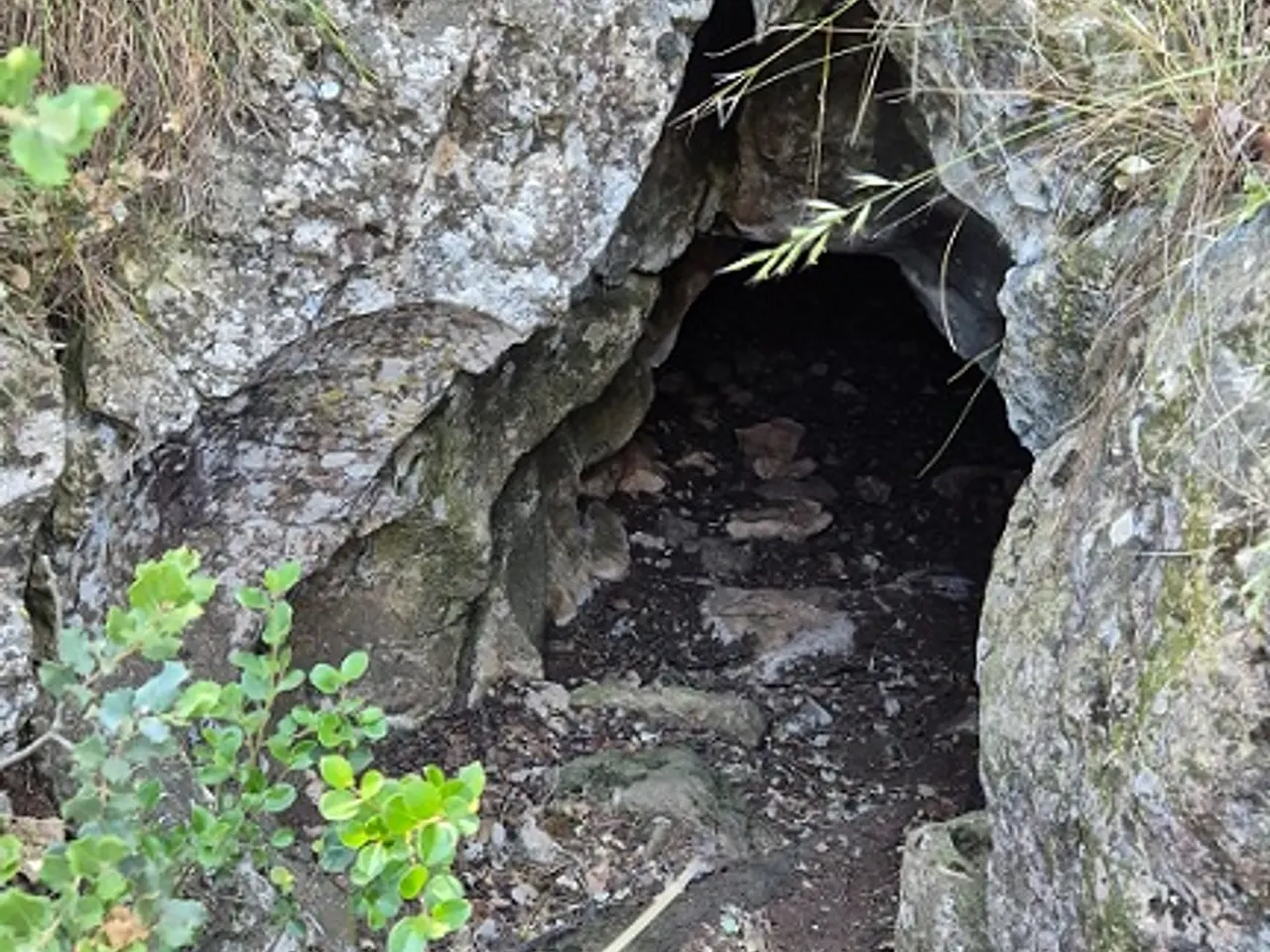 Photographie de CELLER D'EN PLANES, FORAT DEL