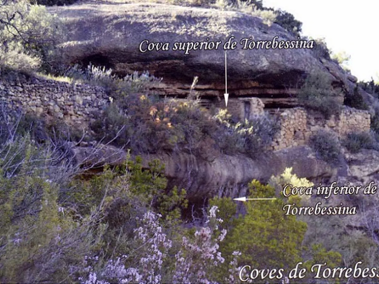 Fotografia de TORREBESSINA, COVA SUPERIOR DE