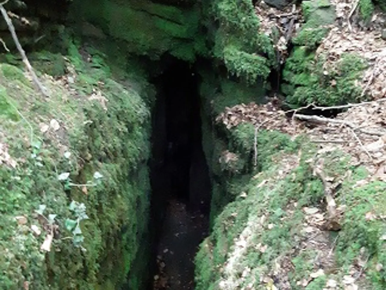Fotografía de ANGÚNIES, COVA DE LES
