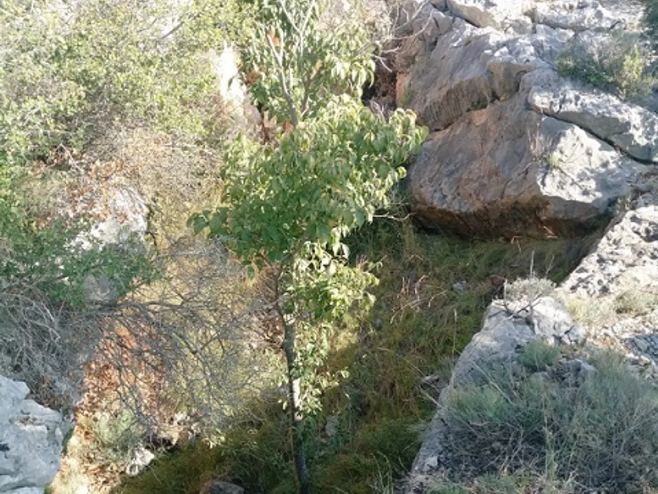 Fotografia de CAN SADURNÍ, AVENC PETIT DE
