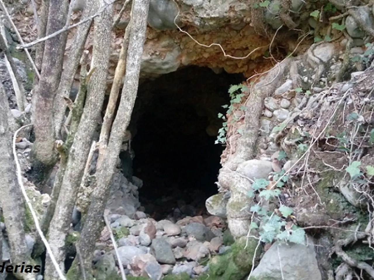 Fotografia de ESPLUGAFREDA, BOTET D'