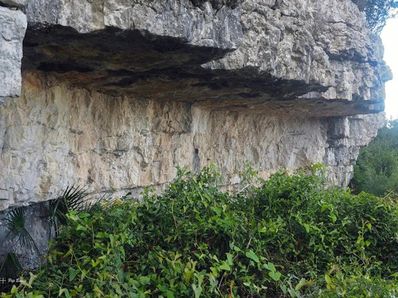 Fotografia de CARRASQUES, COVA DE LES