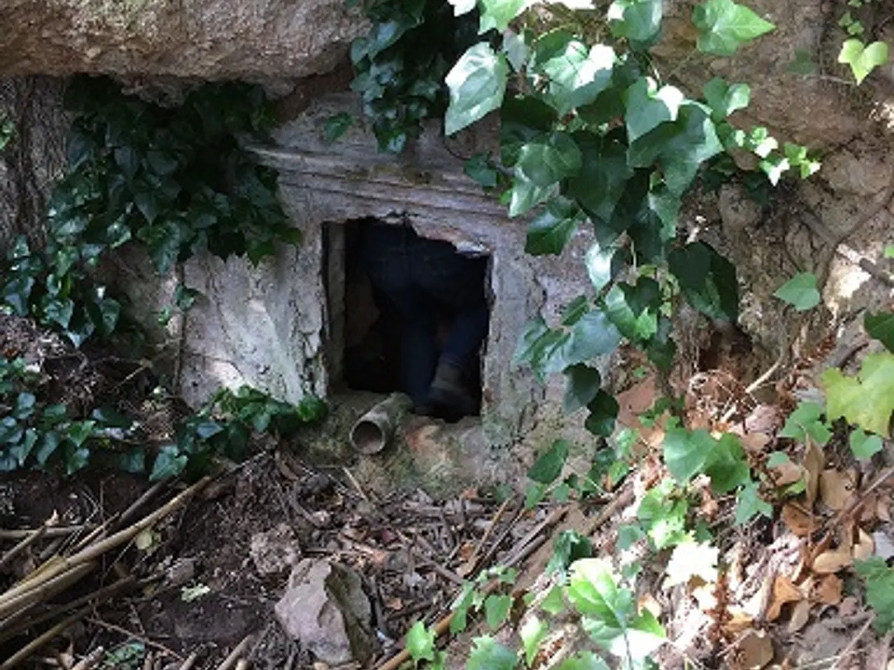 Fotografia de FONT DEL CATALINO, COVA DE LA