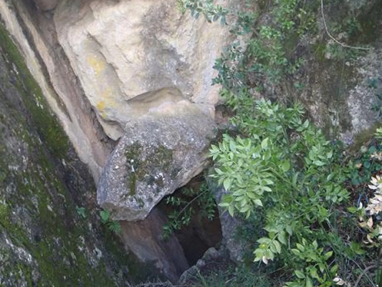 Fotografia de BANDOLER, COVA DEL