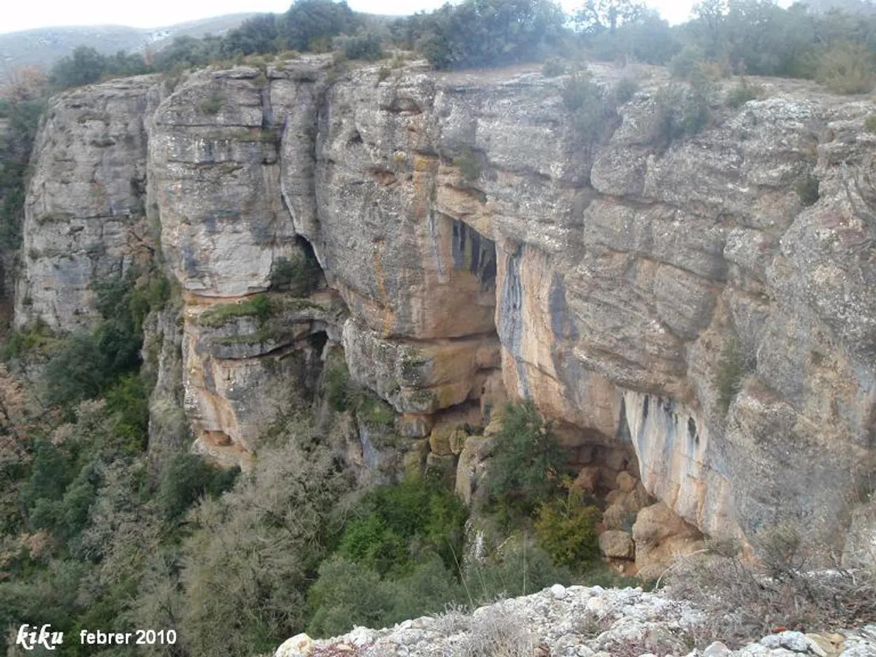 Photograph of MOSQUITS, COVA DELS