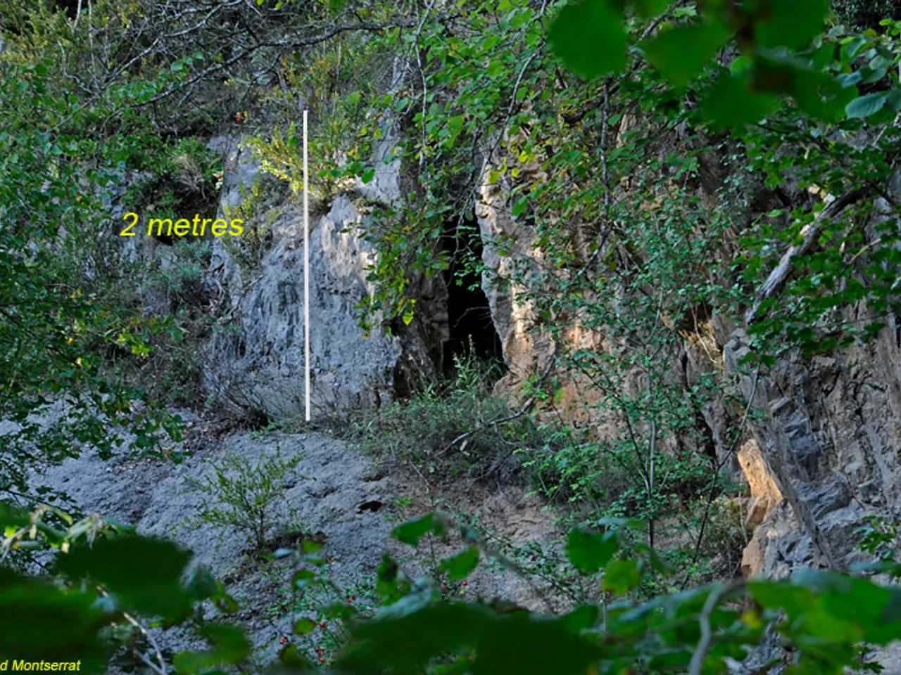 Fotografía de PONT, COVA DEL