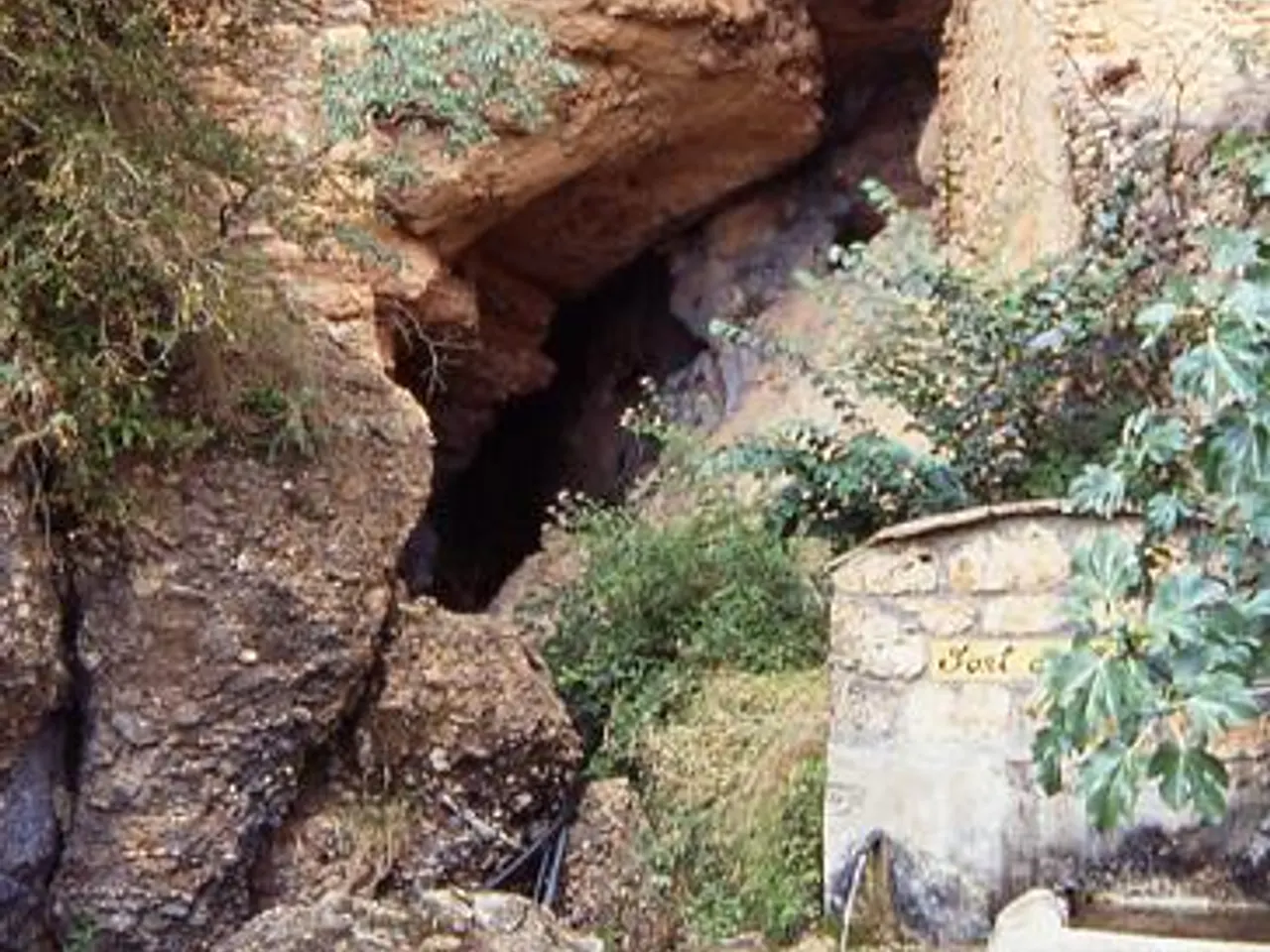 Fotografía de RIVERT,  FONT DE