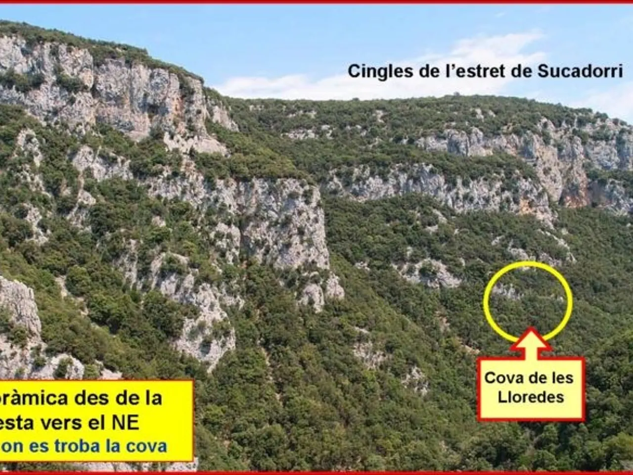 Fotografia de LLOREDES, COVA DE LES