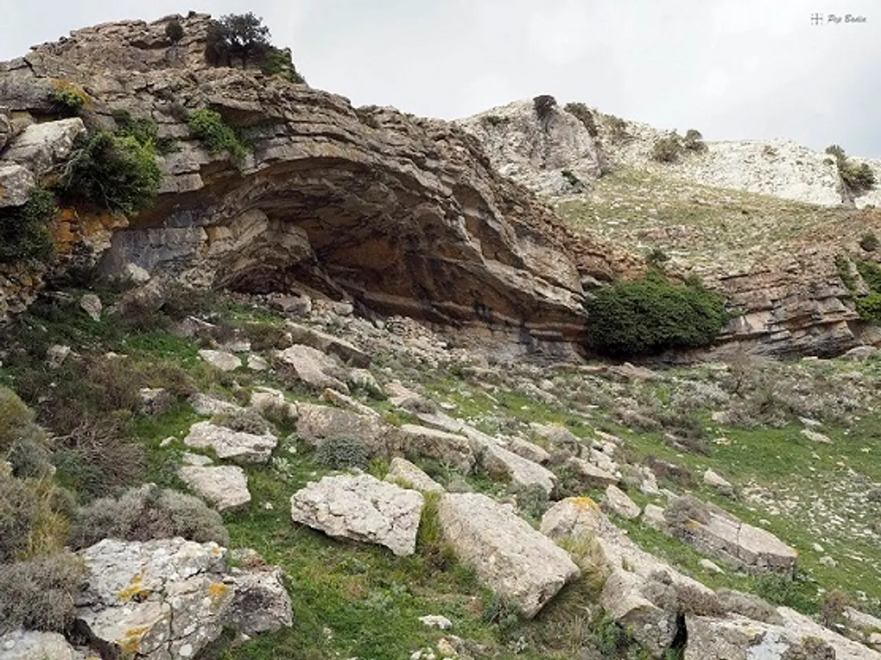 Fotografia de MENTA, COVA DE LA