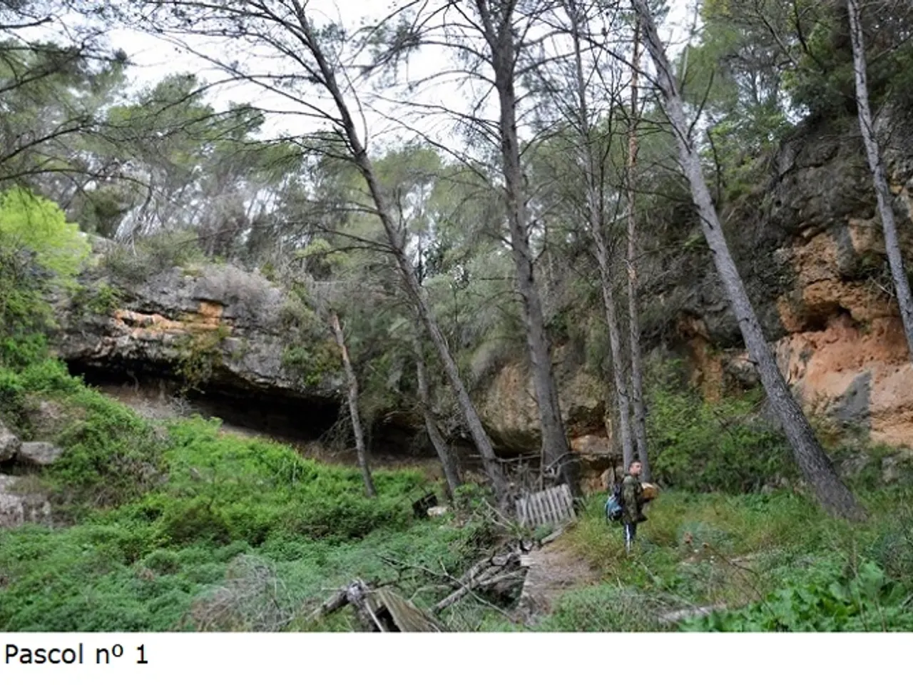 Fotografía de PASCOL, COVES DEL