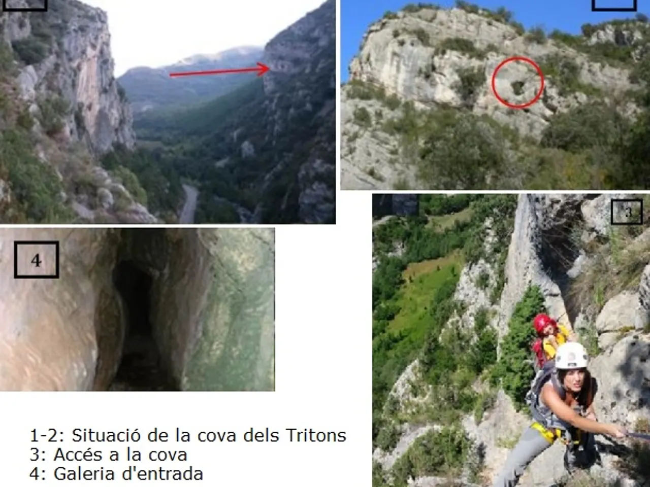 Fotografía de TRITONS, COVA DELS