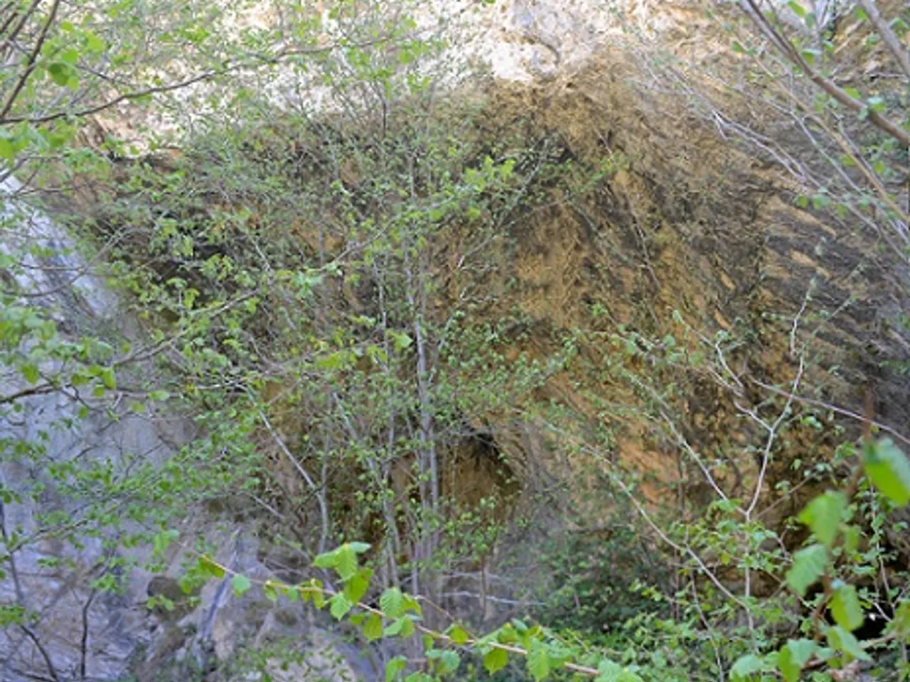 Photograph of DONZELLES, BALMA DE LES