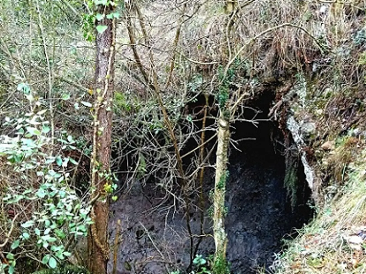 Fotografia de PEPET, BÒFIA D'EN