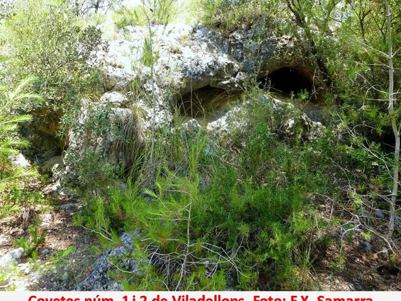 Fotografia de VILADELLOPS, COVETES DE