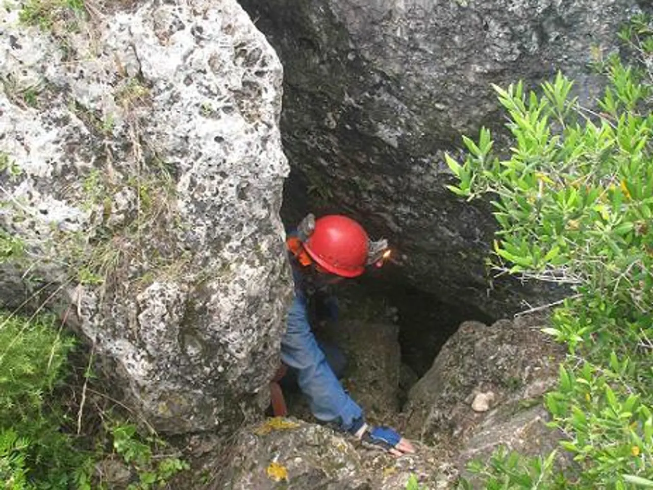 Fotografía de ARTÚS-FORAT DEL VENT, COVA D'