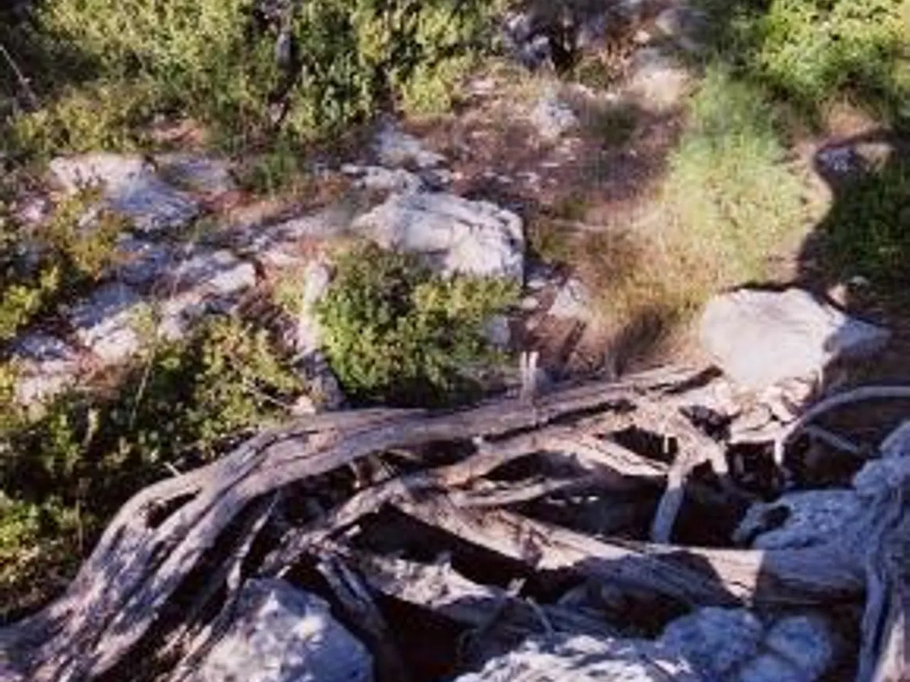 Fotografia de FECUNDITAT, AVENC DE LA
