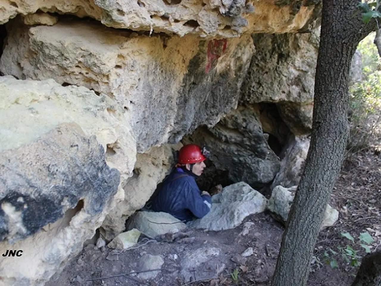 Photographie de OR, COVA DE L'